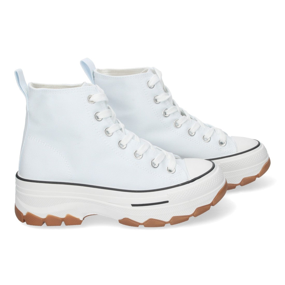 EV-100-Hielo