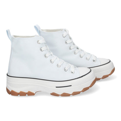EV-100-Hielo