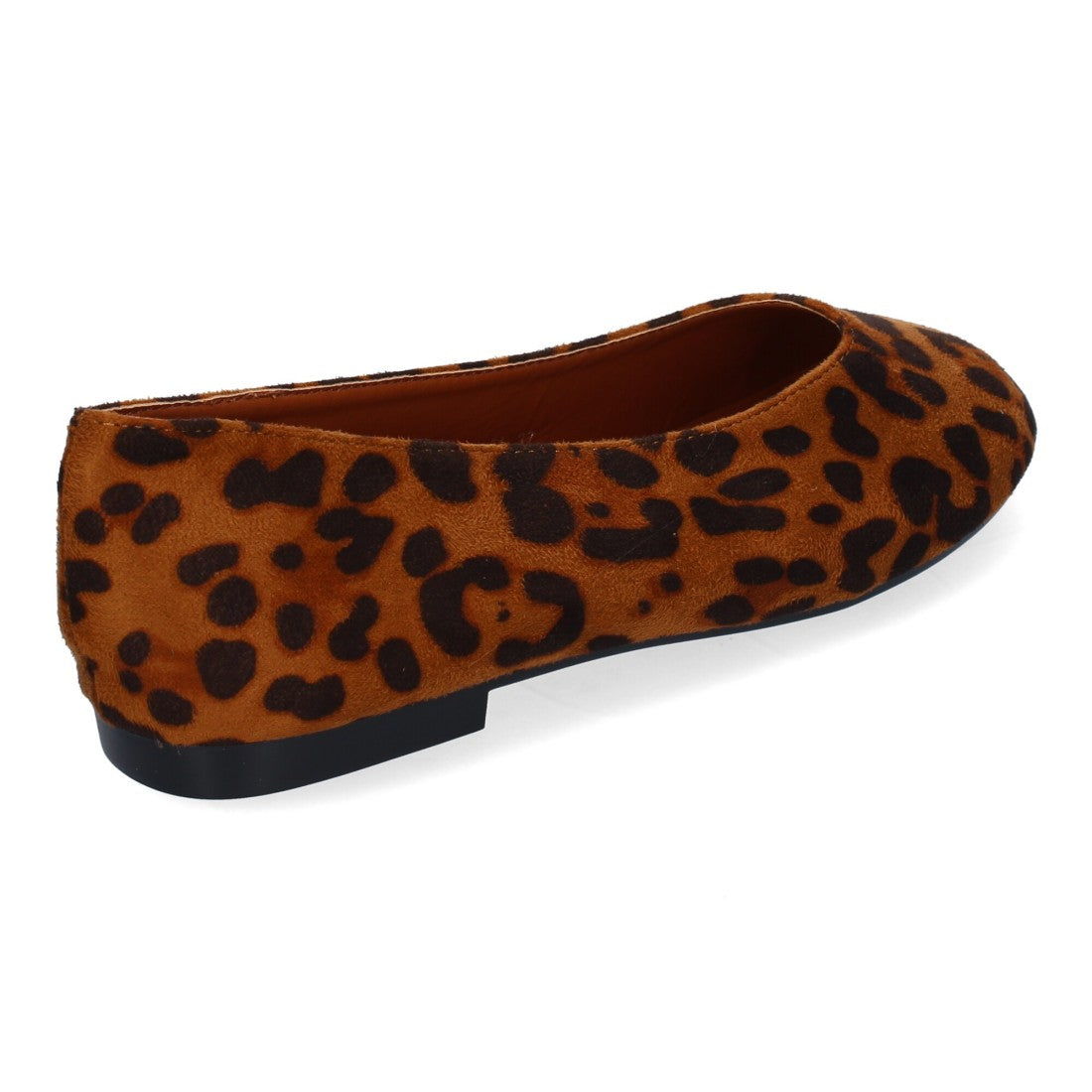 1U11-Leopardo