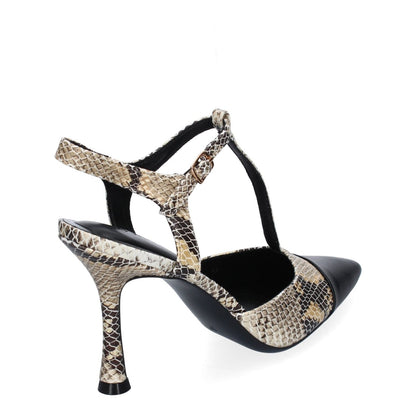 B-5098-Serpiente
