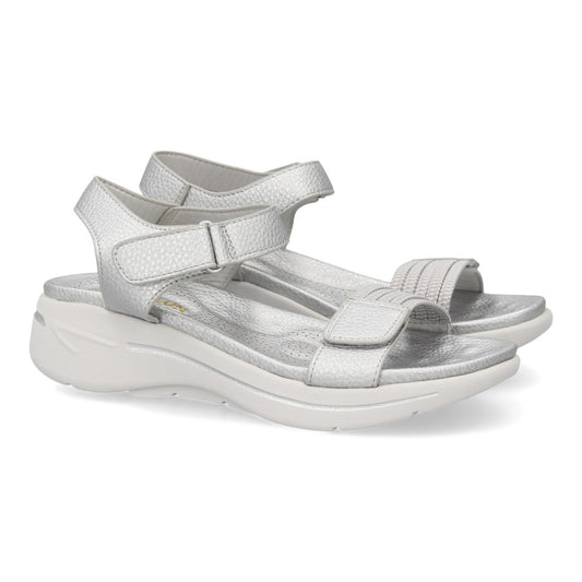 HLS-0691-Plata