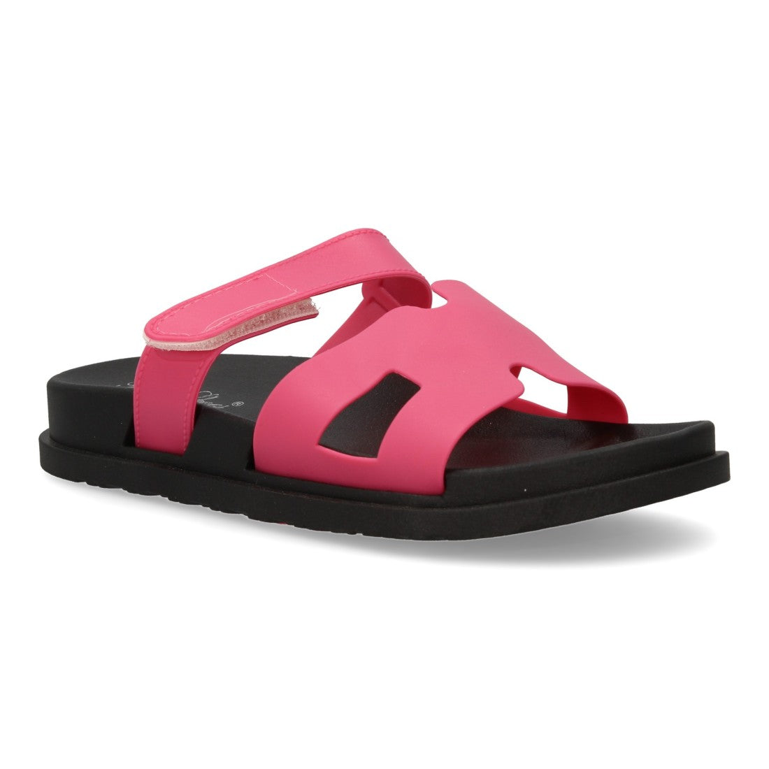 2Q43-Fucsia