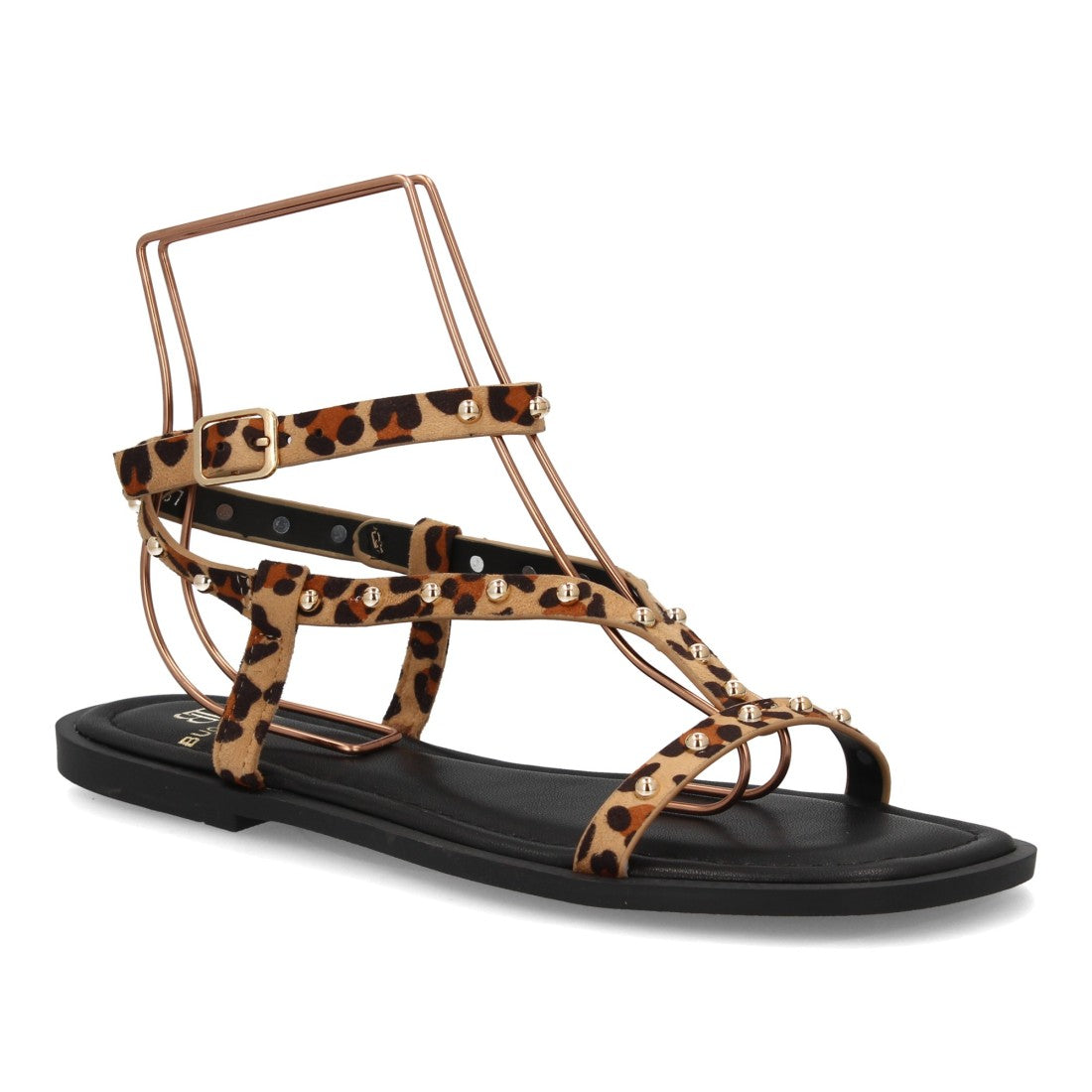 HG-5806-Leopardo